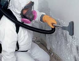 Best Comprehensive Air Testing for Mold Contaminants in Albion, NY